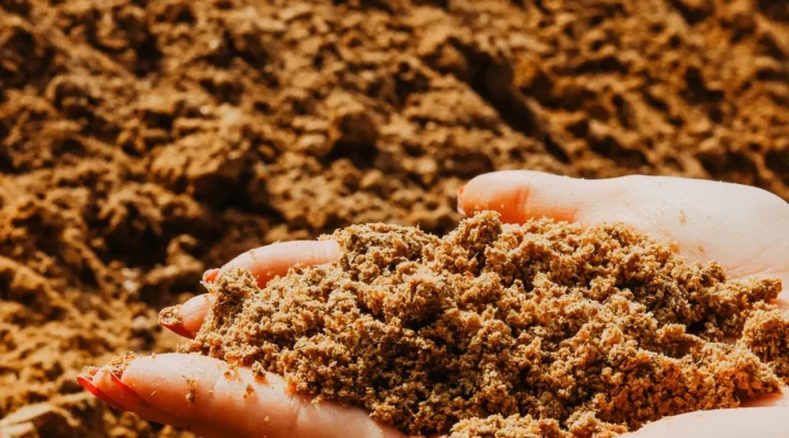 Die Hände halten Sand.